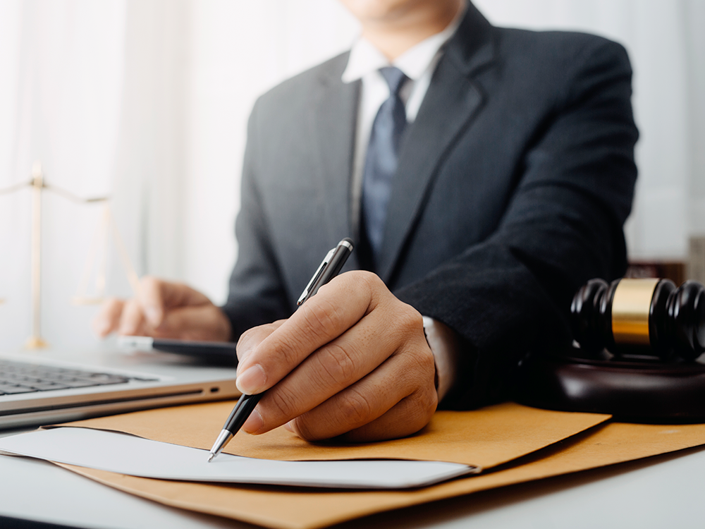 전문가 연결 지원