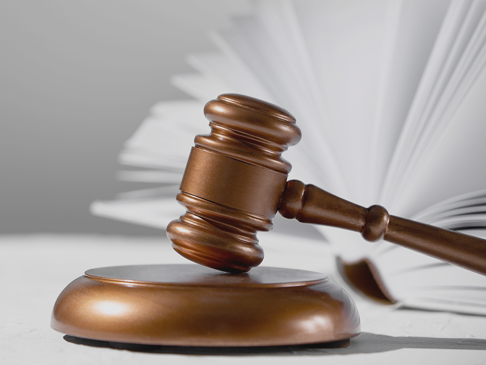 지급명령 진행 방향 안내